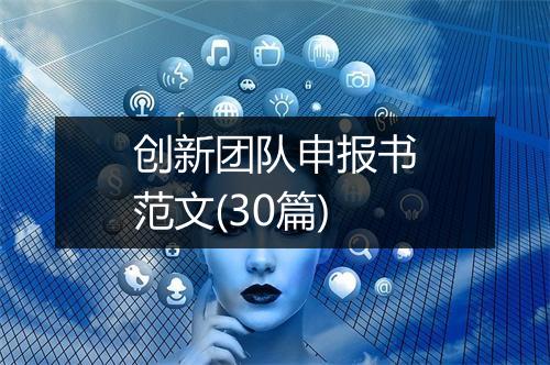创新团队申报书范文(30篇)
