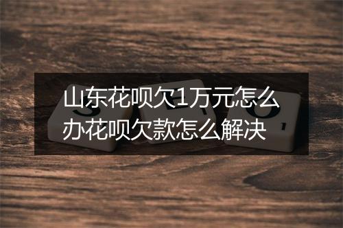 山东花呗欠1万元怎么办花呗欠款怎么解决