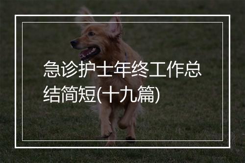 急诊护士年终工作总结简短(十九篇)