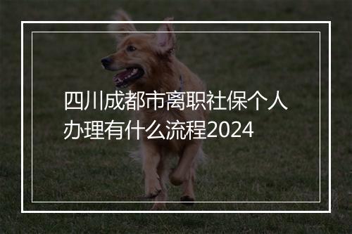 四川成都市离职社保个人办理有什么流程2024