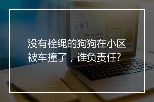 没有栓绳的狗狗在小区被车撞了，谁负责任?