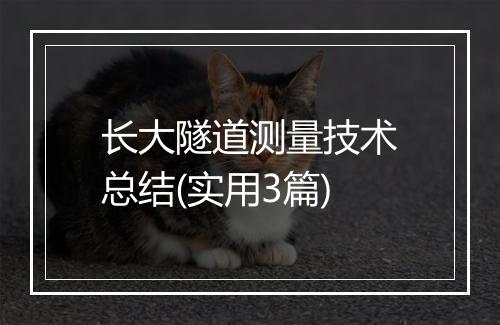 长大隧道测量技术总结(实用3篇)