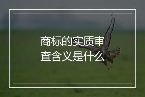 商标的实质审查含义是什么