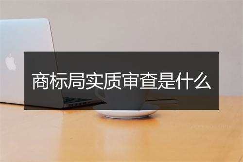 商标局实质审查是什么