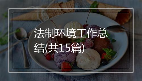 法制环境工作总结(共15篇)