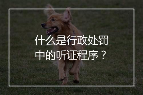 什么是行政处罚中的听证程序？