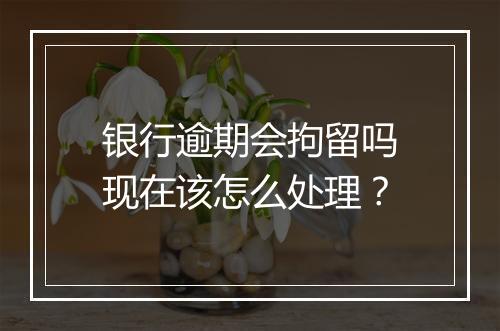 银行逾期会拘留吗现在该怎么处理？