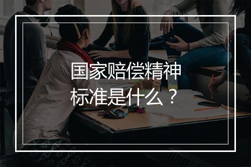 国家赔偿精神标准是什么？