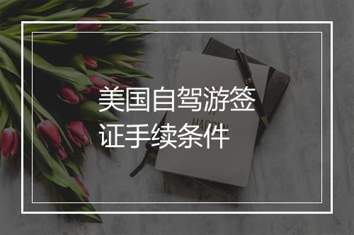 美国自驾游签证手续条件
