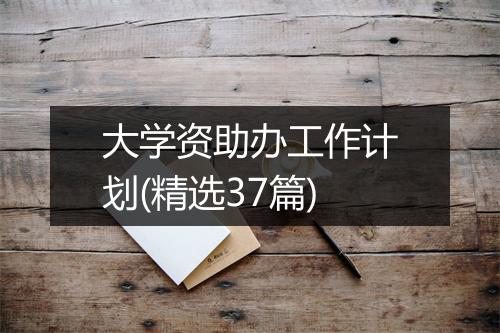 大学资助办工作计划(精选37篇)