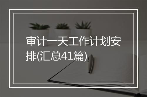 审计一天工作计划安排(汇总41篇)
