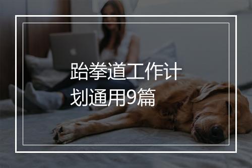 跆拳道工作计划通用9篇