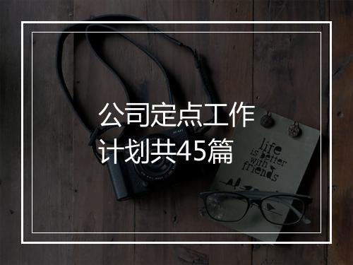 公司定点工作计划共45篇