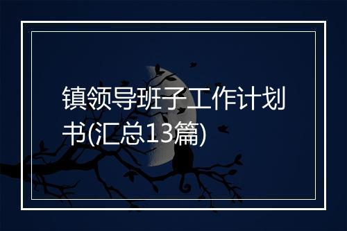 镇领导班子工作计划书(汇总13篇)