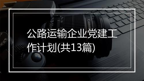 公路运输企业党建工作计划(共13篇)