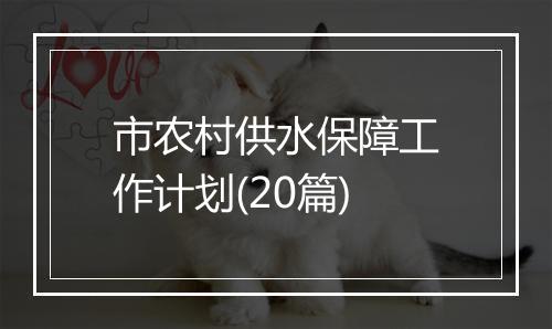 市农村供水保障工作计划(20篇)
