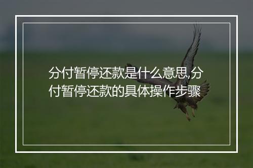 分付暂停还款是什么意思,分付暂停还款的具体操作步骤