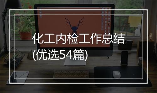 化工内检工作总结(优选54篇)