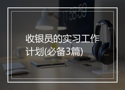 收银员的实习工作计划(必备3篇)