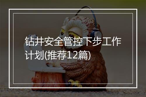 钻井安全管控下步工作计划(推荐12篇)