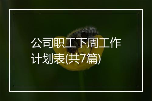 公司职工下周工作计划表(共7篇)
