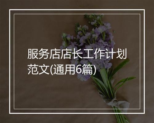 服务店店长工作计划范文(通用6篇)