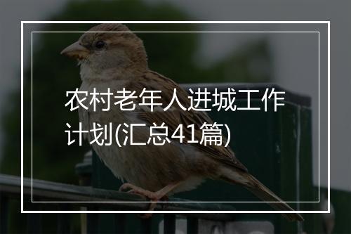 农村老年人进城工作计划(汇总41篇)