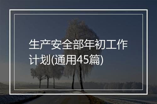 生产安全部年初工作计划(通用45篇)