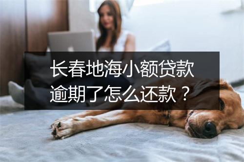 长春地海小额贷款逾期了怎么还款？
