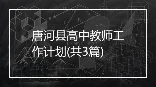 唐河县高中教师工作计划(共3篇)