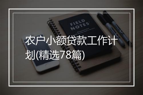 农户小额贷款工作计划(精选78篇)