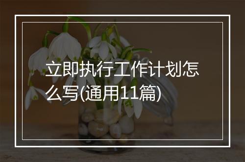 立即执行工作计划怎么写(通用11篇)