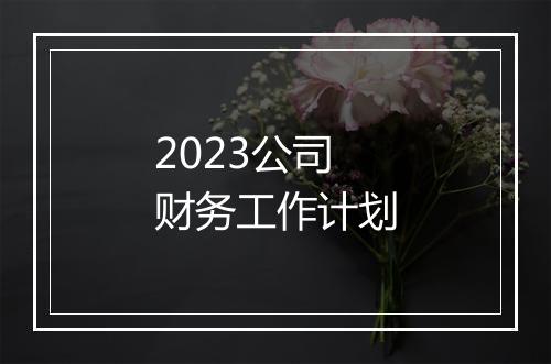 2023公司财务工作计划