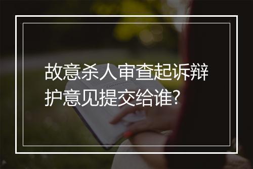 故意杀人审查起诉辩护意见提交给谁?