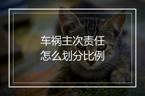 车祸主次责任怎么划分比例