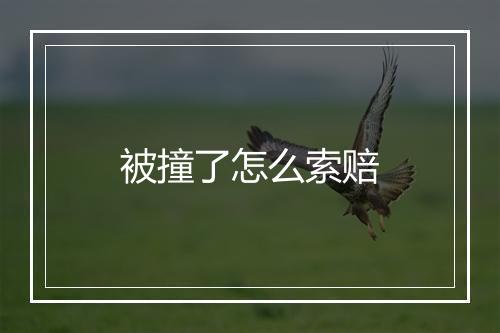 被撞了怎么索赔