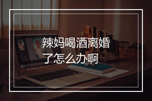 辣妈喝酒离婚了怎么办啊