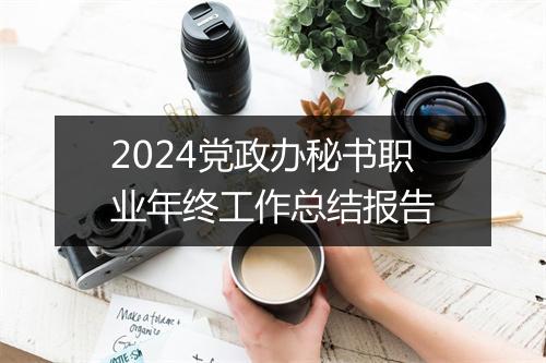2024党政办秘书职业年终工作总结报告