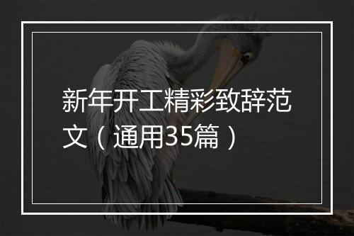 新年开工精彩致辞范文（通用35篇）
