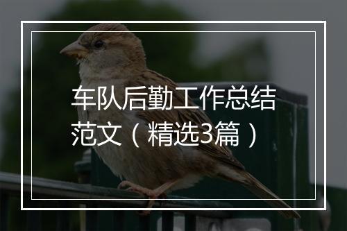 车队后勤工作总结范文（精选3篇）