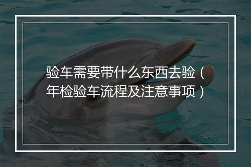 验车需要带什么东西去验（年检验车流程及注意事项）