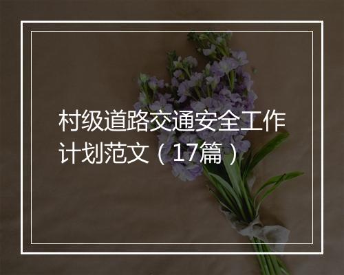 村级道路交通安全工作计划范文（17篇）
