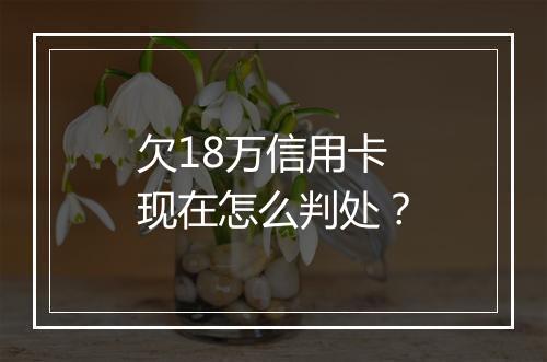 欠18万信用卡现在怎么判处？