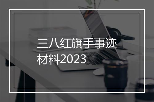 三八红旗手事迹材料2023