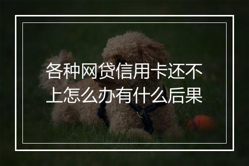 各种网贷信用卡还不上怎么办有什么后果