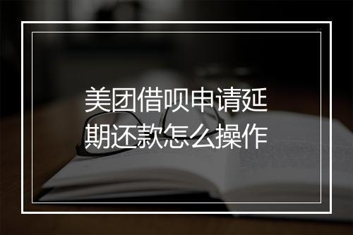 美团借呗申请延期还款怎么操作