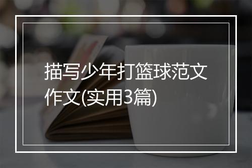 描写少年打篮球范文作文(实用3篇)
