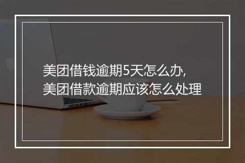 美团借钱逾期5天怎么办,美团借款逾期应该怎么处理