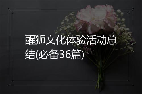 醒狮文化体验活动总结(必备36篇)