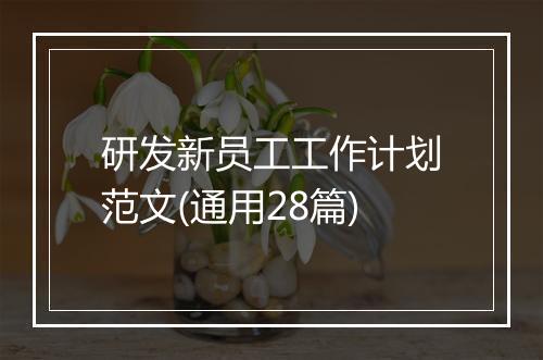 研发新员工工作计划范文(通用28篇)